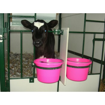 Calf Feeding (10)