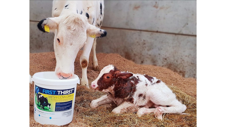 Getting the best start to a great lactation