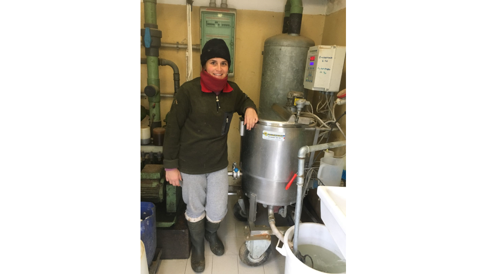 Pasteurisation of Calf Milk works well at University of Bologna