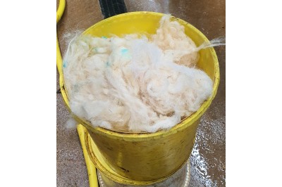 Udda-WOOL - UK wool for pre-milking teat preparation in dairy cows