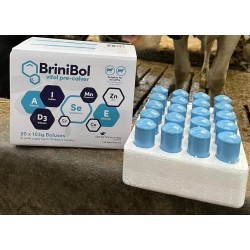 BriniBol Vital Pre-Calver- mineral and vitamin bolus 20 pack BriniBol Vital Pre-Calver- mineral and vitamin bolus 20 pack