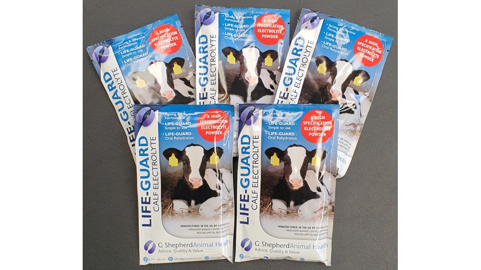 Life Guard Sachets: An excellent tool in Calf Scour Management