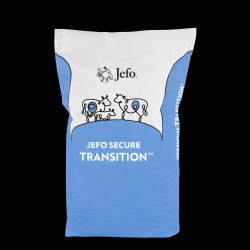 Jefo Secure Transition Jefo Secure Transition