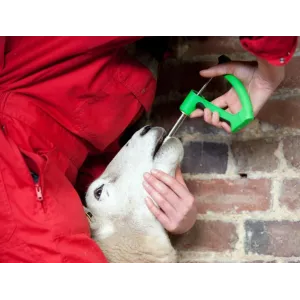 Mineral & Vitamin Boluses for Sheep (2)