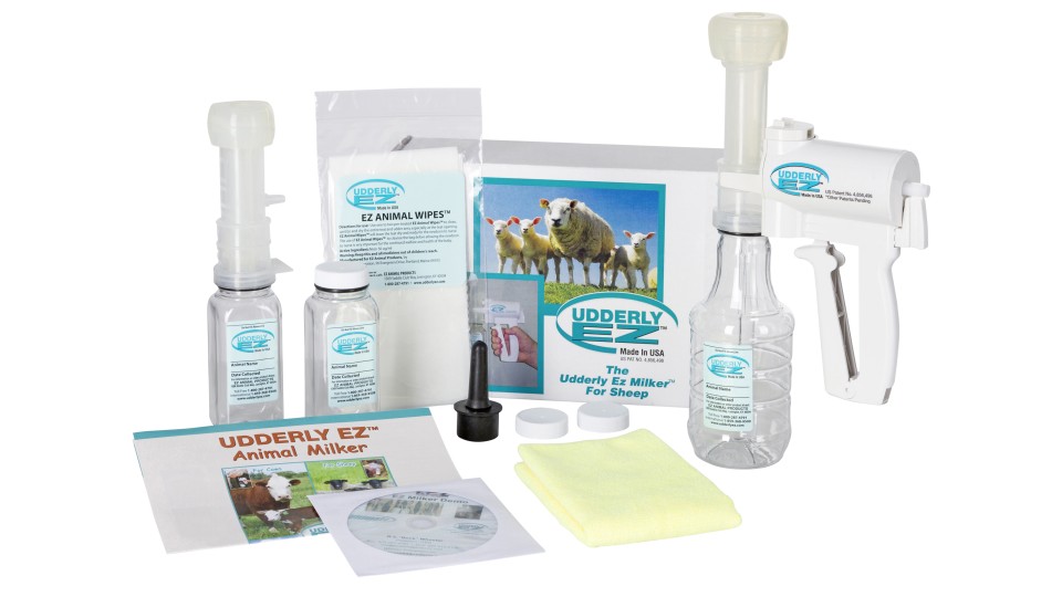 A popular tool for milking colostrum from sheep