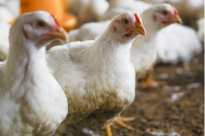 Health benefits in Poultry & Game Birds from using protected fatty acids