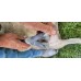 NICE'n'DRY - Dry Foot Bath Powder